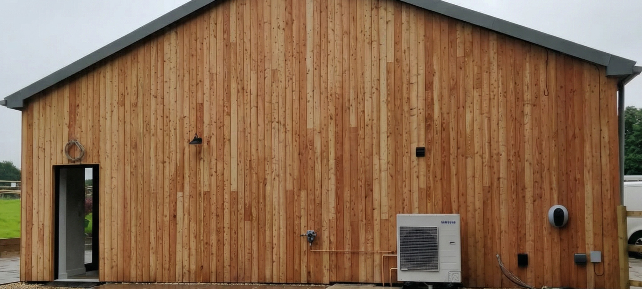 European larch.jpg